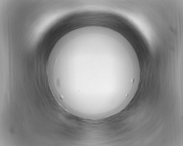 X0000116330431200912011009