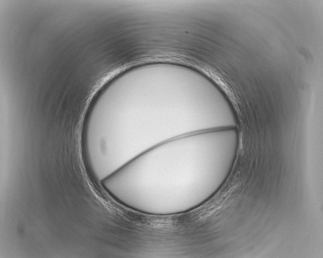 X0000116330438200912011008