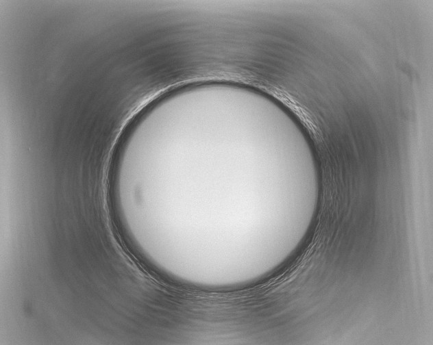 X0000116330440200912011008