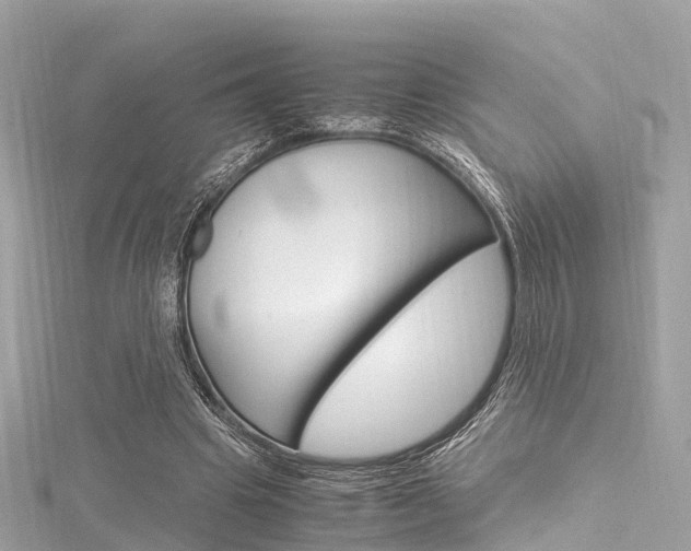 X0000116330441200912011008