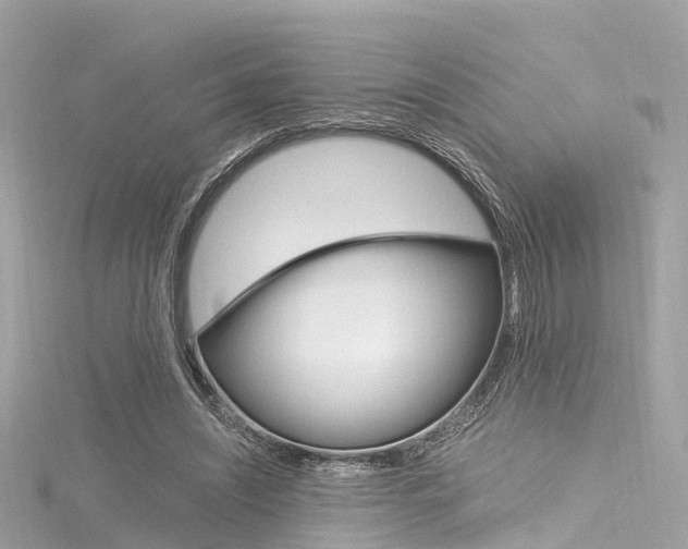 X0000116330444200912011008