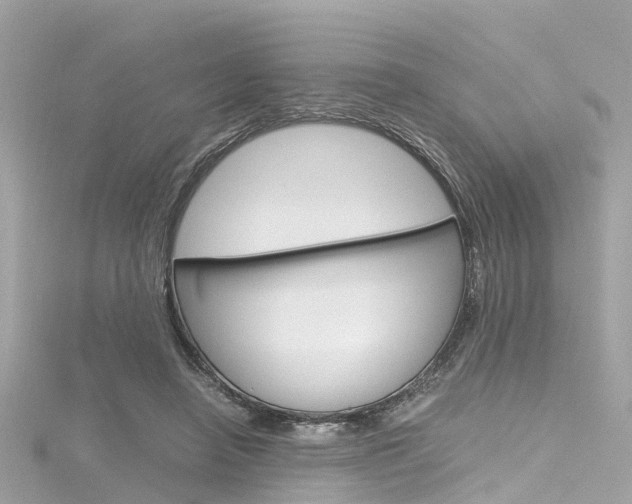 X0000116330450200912011008