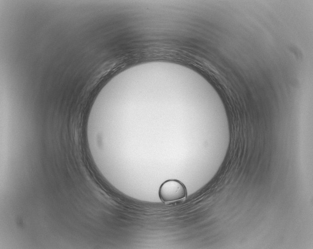 X0000116330452200912011008
