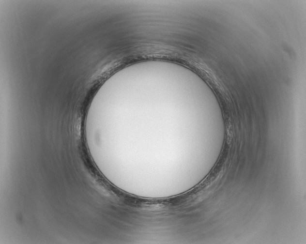 X0000116330454200912011008