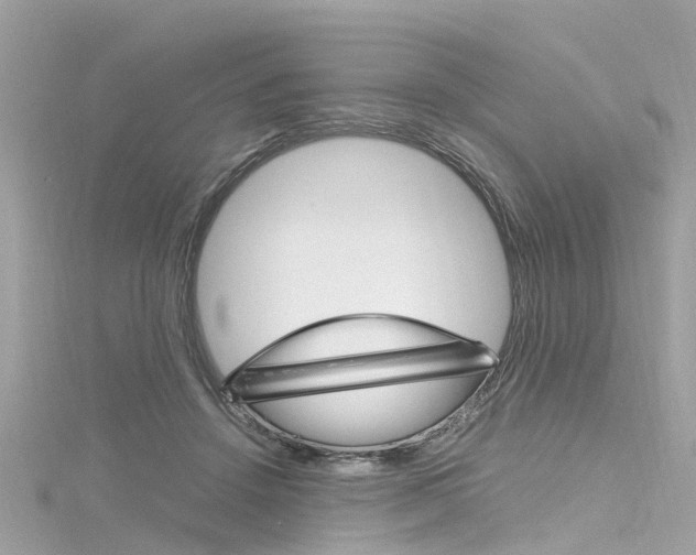X0000116330456200912011008