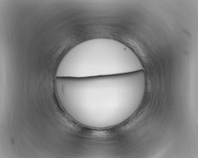 X0000116330457200912011008