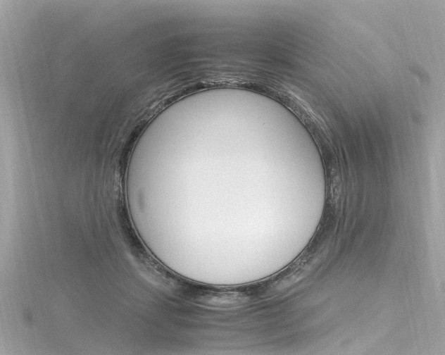 X0000116330459200912011008