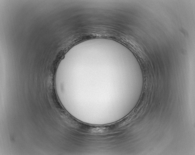 X0000116330461200912011008