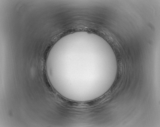 X0000116330463200912011008