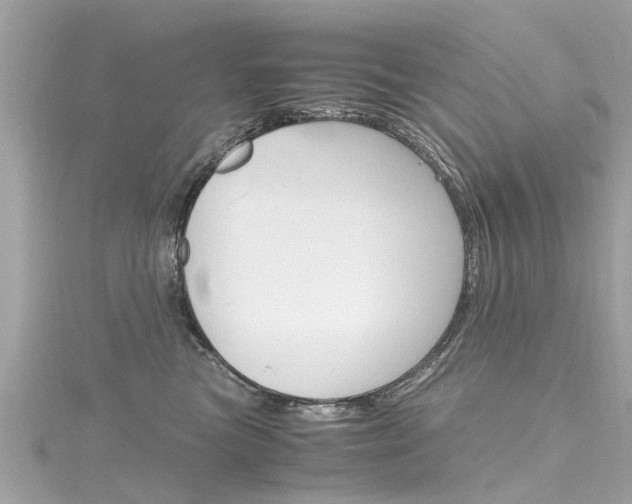X0000116330473200912011009