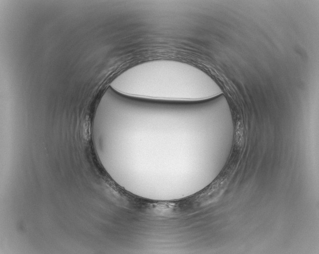 X0000116330474200912011009