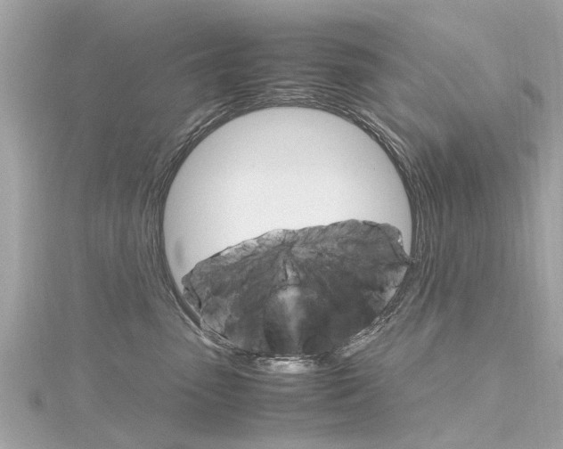 X0000116330475200912011009