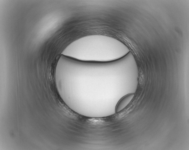 X0000116330477200912011009