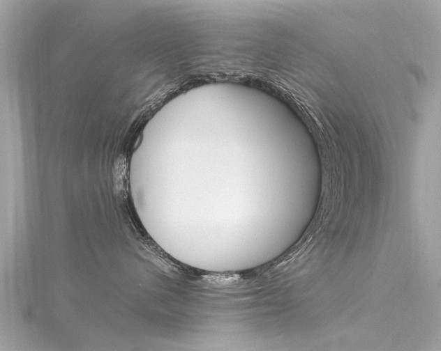 X0000116330480200912011009