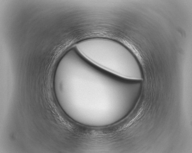 X0000116330481200912011008
