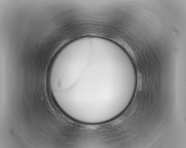 X0000116330482200912011008