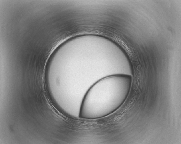 X0000116330484200912011008