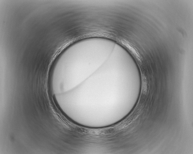 X0000116330486200912011008