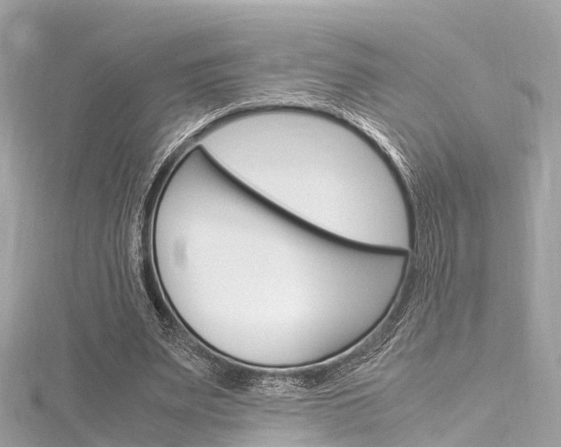 X0000116330487200912011008