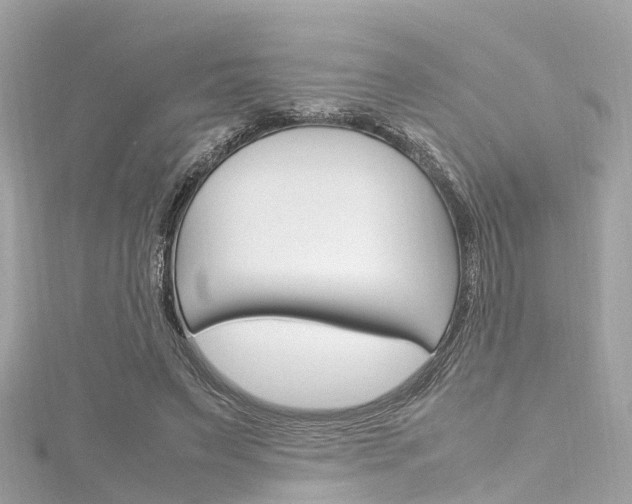 X0000116330495200912011008
