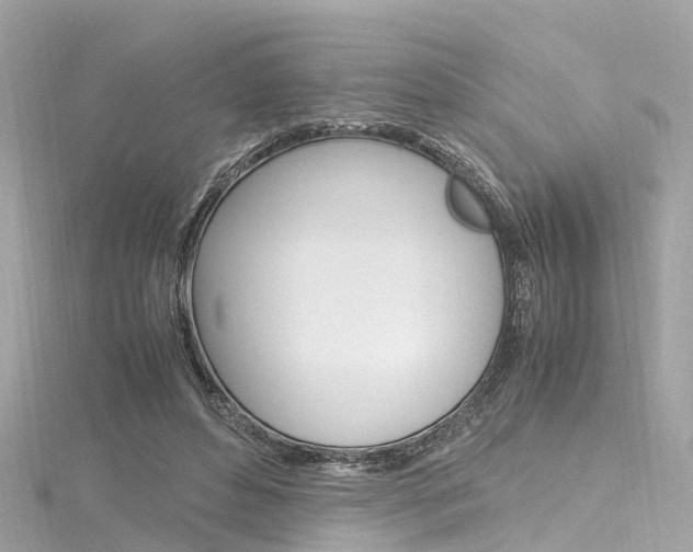 X0000116330496200912011008