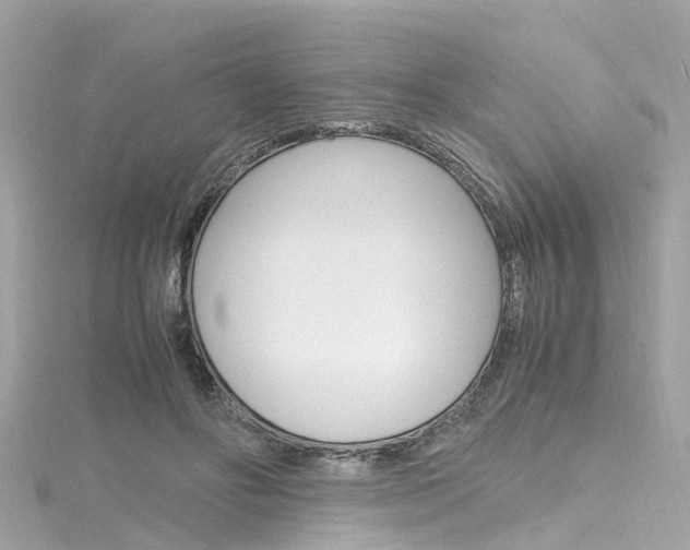 X0000116330502200912011008
