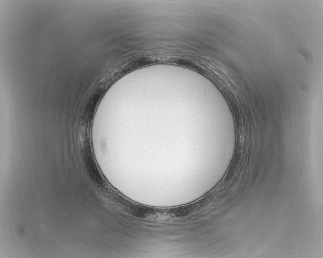 X0000116330503200912011008