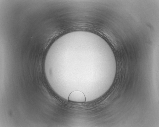 X0000116330504200912011008
