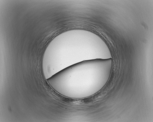 X0000116330505200912011008