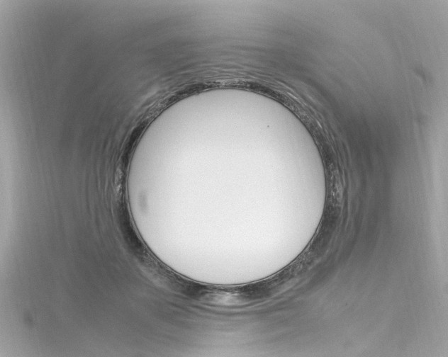 X0000116330507200912011008