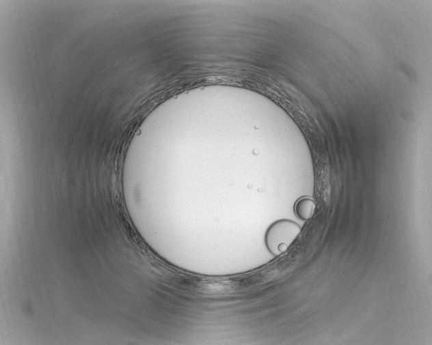 X0000116330510200912011008