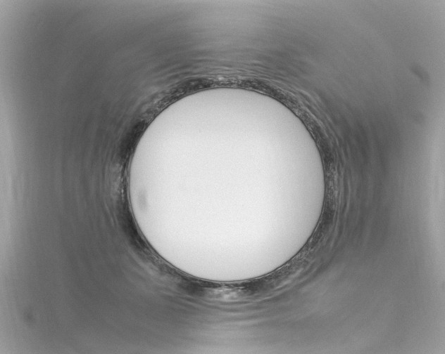 X0000116330511200912011008