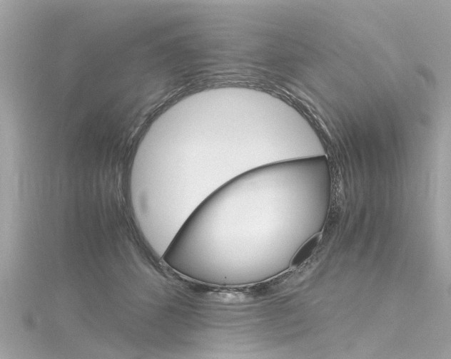 X0000116330512200912011008
