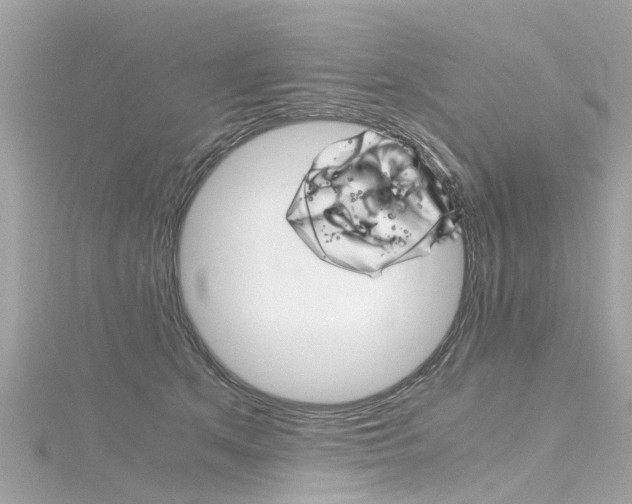 X0000116330513200912011008