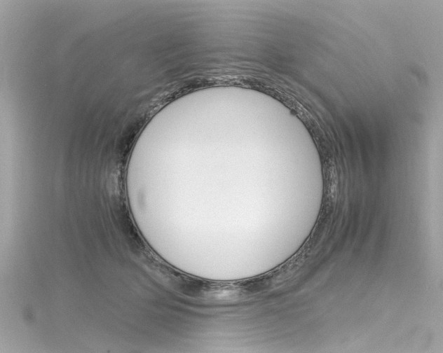 X0000116330514200912011008