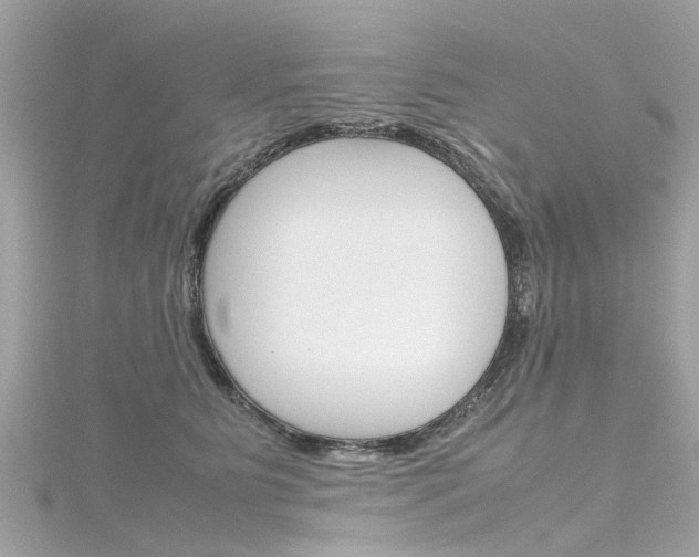 X0000116330515200912011008