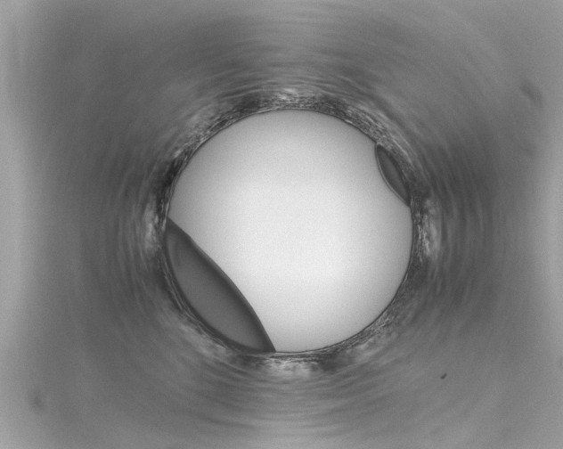 X0000116330520200912011008
