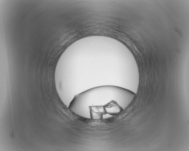 X0000116330521200912011008