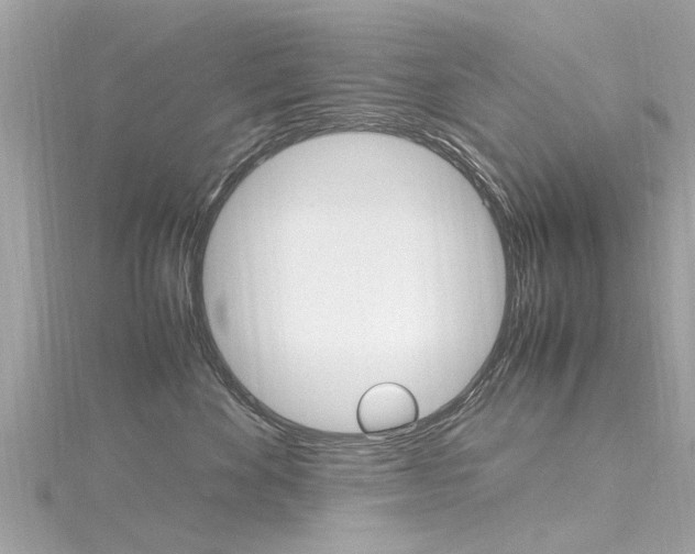 X0000116330524200912011008