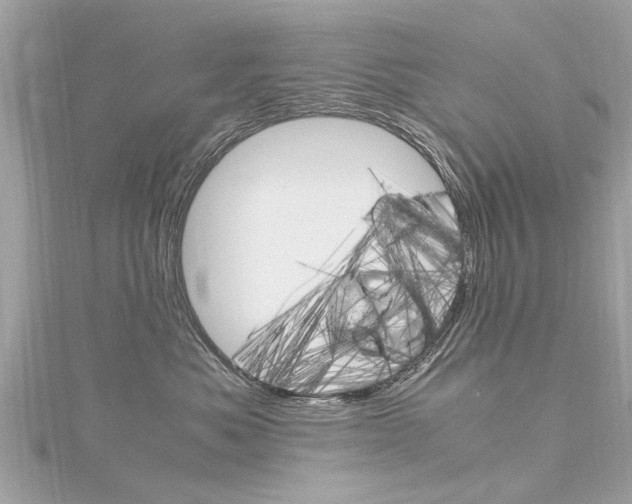 X0000116330525200912011007