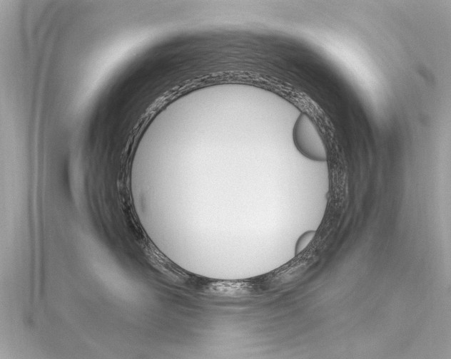 X0000116330526200912011007