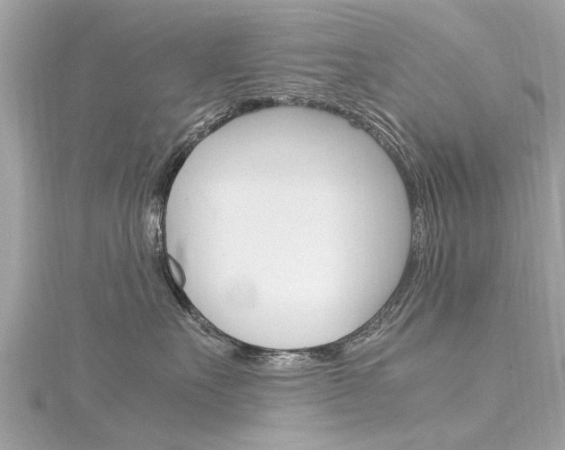 X0000116330527200912011007