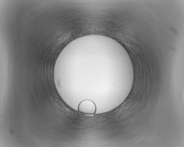 X0000116330528200912011007