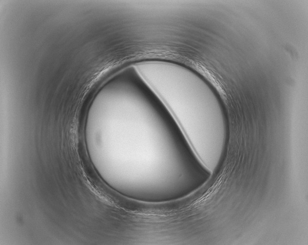 X0000116330530200912011007