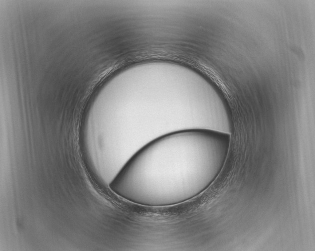 X0000116330538200912011007