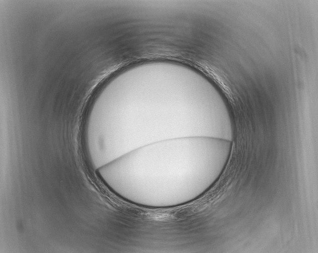 X0000116330539200912011007