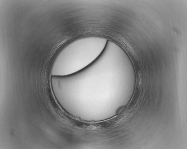 X0000116330542200912011007
