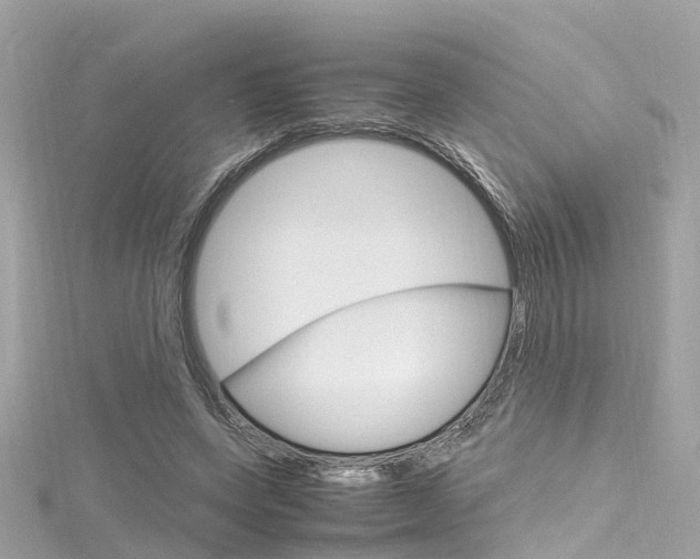 X0000116330543200912011007