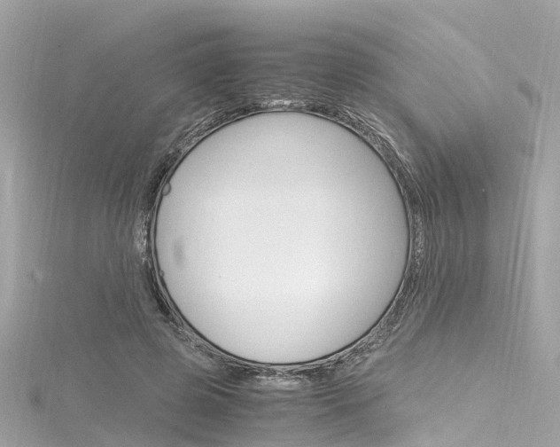 X0000116330545200912011007