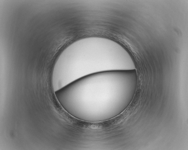X0000116330546200912011007